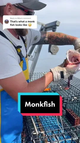 Replying to @Mika Monkfish are wild 🐠 🐟