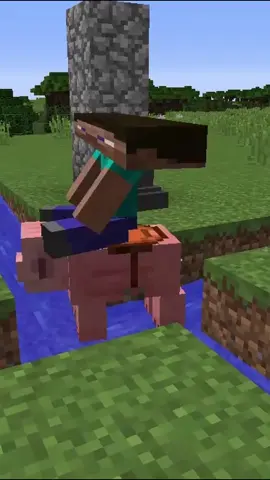 #Minecraft #minecraftmemes #npc #💀 #memes #meme #gamer #fyp #fy #foryou