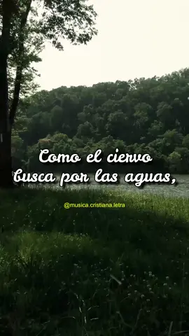 LLENAME DE TI SEÑOR - QUEREMOS MÁS DE TÍ #Dios | #Viral #fyp #Parati