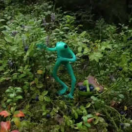 Wild blueberry picking 🫐😊 #fyp #fypシ #stopmotion #frog #wildblueberries #mustikka #metsä #frogtok🐸 #frogsoftiktok #animatorsoftiktok #artistsontiktok #finland🇫🇮 #travel #forest 