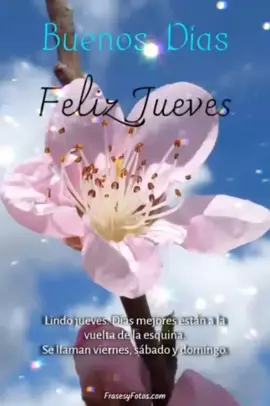 #Buenos días.     #Feliz Jueves.    #Pimpinela.    #Hay amores que matan.       #CapCut