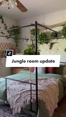 What do you think of the update?  @Joanna | Plant tips 🪴  #plants #plantsoftiktok #plantmom #plant  #plantcollection #plantmom #plantlife #plantlover #plantlove #plantsmakepeoplehappy #plantcommunity #plantas #plantlady #plantgang #plantaddict #planttiktok #PlantTok