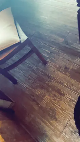 Hast du nette Nachbarnschaft?#probierenmitkarina #maskiergang 