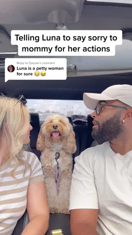 Replying to @Cjayrae the petty look like “i dont wanna do this” 🙄 #funny #dogs #fyp #doglover #lunatheminicockapoo 