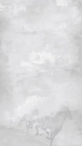 مولود امير #اكسبلور #مولود #بشارة_مولود #مولوده #استقبال_مواليد #تصميم