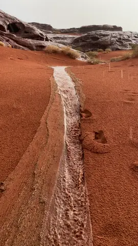 #صلو #على #نبينا #محمد#الجمعه_الصلاة_على_النبي_سورة_الكهف #