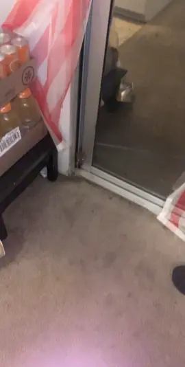 Caught a rat on my sliding door🤦🏽‍♂️🤦🏽‍♂️🤣🤣 #fyp #crazy 