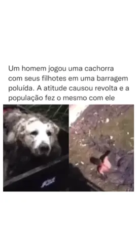 A população de uma cidade se revoltou com um homem que havia jogado uma cachorra em seus filhotes em uma barragem poluída,  como ato de resposta, eles fizeram o mesmo com ele #fy #viral #fofoca #noticia #foryouviral #foryou 