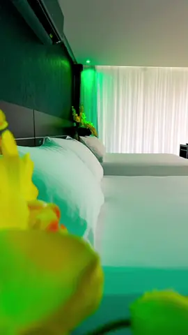 A regra é clara... Se tem Alexa, tem festa! #fy #foryou #foryoupage #hotel #motel #lemon #travel 