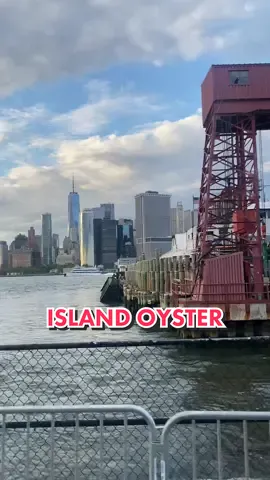 #nyc #dinner #governorsisland #DoritosDareToBeBurned
