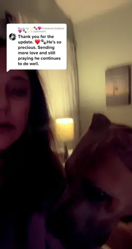 Replying to @✨🐾💖Krissiesfurbabies💖 🐾✨  thank you for love & prayers update on Kona he’s fully recovered ❤️🦋