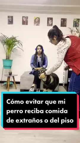 🐶🐾 Cómo evitar que mi perro reciba comida de extraños o del piso 😵🍔 @alisonsuarez1 #viral #viralvideo #viraltiktok #virall #viral_video #viralllllll #miperrocomeloquesea #miperrocometodo #comportamientocanino #cambiodeconducta #perro 