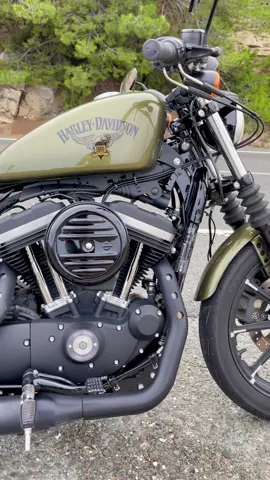 Harley Davidson IRON 883 SPORTSTER 🔥✌🏼 #harleydavidson #harley #iron883 #harleydavidsonlifestyle #harleydavidsonmotorcycles #harleydavidsoniron883 #bikes #riders #ride #bike #motor #moto #top