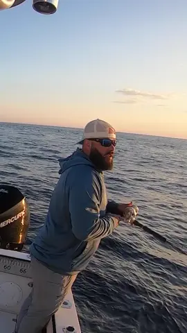 #fyp #fypシ #gofishing #fish #action #viral #صيد_السمك #اكسبلور #anglerlife #explore #دبي #السعودية #البحرين #الكويت #عمان 