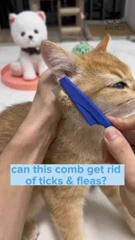 Bristles are so thin that it could get rid of small dirt and tiny insects! 👌🏻😳 #fyp #comb #petcomb #catcomb #dogcomb #fleacomb #tickremover #petgrooming #PetsOfTikTok #catsoftiktok 