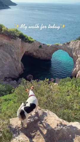 🐾✨ #beautiful #greece #amazinggreece #greekbeaches #beaches #dogsoftiktok #tiktokviral #landscapes #trekkinglife #dogs #amazinglandscape #blue #hiddenbeach #europe #jackrussell #islands #cave