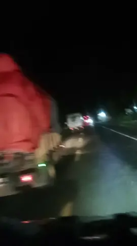 mentahan sw mu bolo#truckoleng #truckmania #epyepe #tebubalap #kurirtebu #elfmaniacintaindonesia