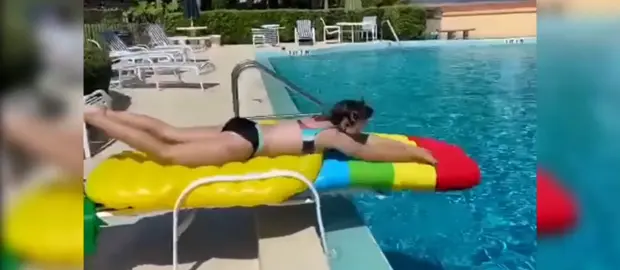 #funny #funnyvideos #pool
