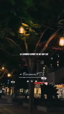 #ytuconel #videosparatiktok #parati #carmenpp75 #lyrics #vallenato @carmenponcepincay