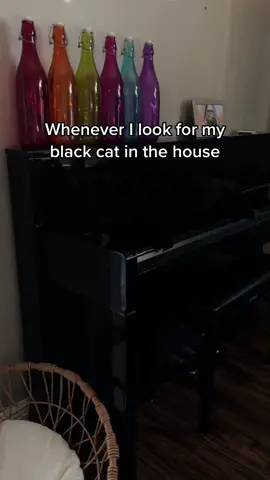 If i had a nickel for the amouny of times i mistake a black object for my cat #cat #blink182 #black 