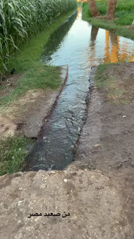 #اذاعة_القرأن_الكريم  #صعيد_مصر  #سوهاج_بلدي_وافتخر_بيها  #القران_الكريم_راحه_نفسية استمع بقلبك واذكر الله 🧡🪄#صعيدي_ياخال_والاسم_لوحدو_مواااال 