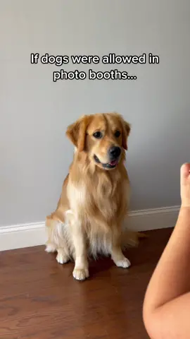 The last photo. #fyp #foryoupage #dogsoftiktok