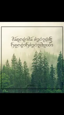 ไม้สูงกว่าไม้ จ่างป่ายลมฝน คนสูงกว่าคน จ่างป่ายภัยเจ้า ความหมาย ไม่ควรอวดดีหรืออวดเก่งกับใครเพราะทายทีสุดจะเป็นภัยกับตนเอง #สุภาษิตล้านนา #ตั๋วเมืองล้านนา #ภาษาล้านนา #ตั๋วเมือง #ล้านนา #ดอกไม้ล้านนา