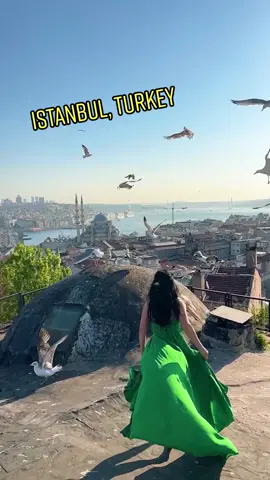 A cinematic scene via @karen_zoroglyan/IG @ignis_sanat 🕊 Have you traveled to Istanbul, Turkey? 💚