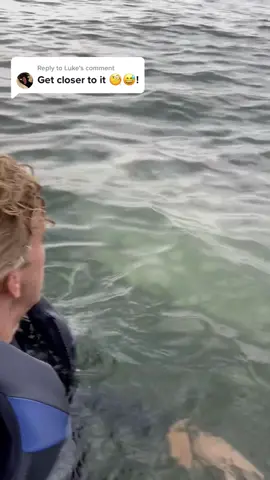 Replying to @Luke Anyone know what kind of friendly fish this is!? #DoritosDareToBeBurned #foryou (fakebody)