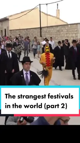The strangest festivals in the world (oart 2) #strange #facts #fyp #LearnOnTikTok #weird 
