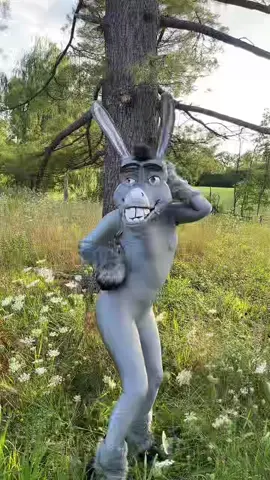 I like that boulder. That is a ✨nice✨ boulder. #donkey #cosplay #shrek #shrek2 #donkeyshrek 