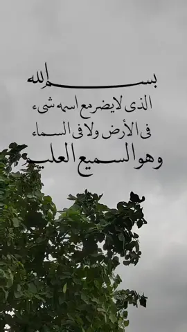 #بسم_الله_الذي_لايضر_مع_اسمه_شيء