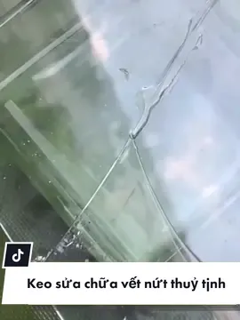 Keo sửa chữa vết nứt thuỷ tinh 😍😍 #LearnOnTikTok #ordertaobao #nhanshiphang #xuhuong #xuhuongtiktok2022 #order1688
