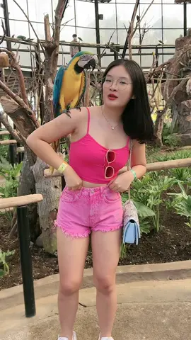 burung aja mau cium aku , masa kamu engga