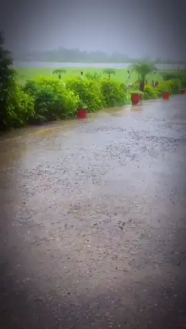 🥰🥰🥰😇🥰🥰