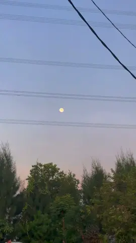 Bulan dan matahari yg hanya bertatapan dari jauh #fyp