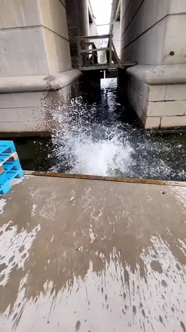 Replying to @gabixjerm Put me in rice 🍚 #parkour