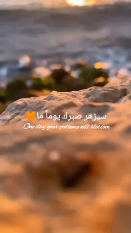 🥺🧡#خربشات_مــخـتــڶـفـة🧸 #اقتباسات_مترجمة #أكسبلور_لايك_متابعة #fyp #foryou #تصـميمي،🦋 #تيك_توك