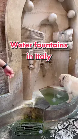 The water fountains in Rome were next level ✨ #travel #water #waterfountain #rome #italy #dog 