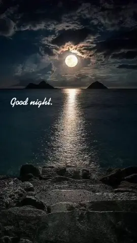 ฝันดีมีความสุขนะคะ🥰😴#สถานีเพลงเพราะ #เพลงเพราะลงสตอรี่ #เพลงสากลเพราะๆ #สตอรี่_ความรู้สึก😔🖤🥀 #fypシ #CapCut