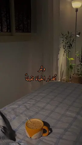 هذا بدون موسيقى🤍#viral #الهاشتاقات_للرخوم #foryou #viral #fy #💔 #fypシ #fypシ #fypシ #fypシ 
