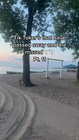 RIH! #rih #rip #restinparadise #angel #grief #loss #tribute #gonetoosoon #cancer #illness #boomer #tunzaphun #jessicachristine  