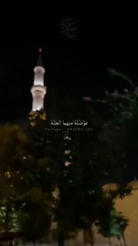 الصبر ثم الصبر | يوسف بن محمد المهوس.#ubayda_123 #fyp #مقاطع_دينية #اسلاميات #كلمات #عبارات #حكم #الصبر 