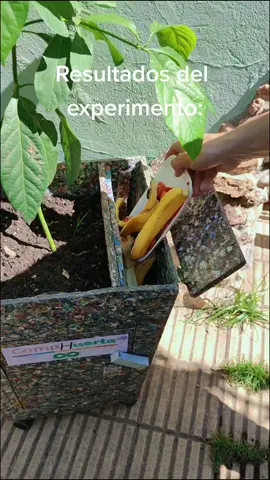 Dale de comer a tus plantas ! #comphuerta #garden #lombricompost #urusu