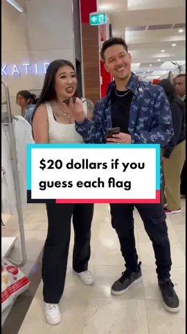 $20 if you guess each flag… #fypシ #nationalities #guesstheflag #viral #publicinterview #uk