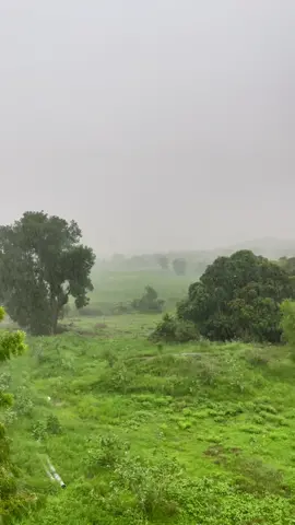 هاتوا عبارات عن المطر🥺. #مطر #العارضه #جازان #امطار #مطل_العارضه 