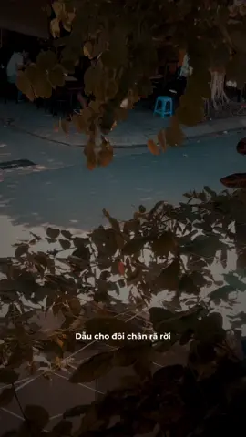 Không còn trước mặt nữa nhưng chắc chắn sẽ còn trong lòng #voxuanthuphong