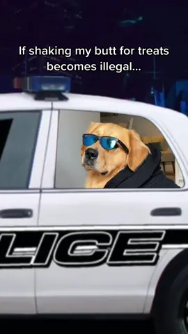 Put me in jail! Idc. #fyp #foryoupage #dogsoftiktok