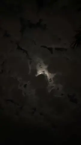 اكتب شي تؤجر عليه 🤍