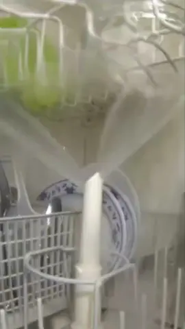 #overloadeddishwasher #fyp #dishwasher